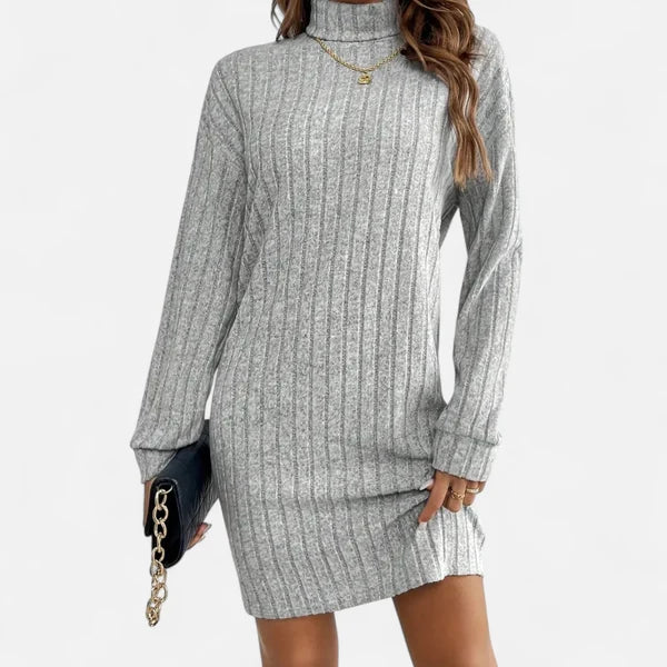 Women's Textured Turtleneck Sweater Dress with Long Sleeves
