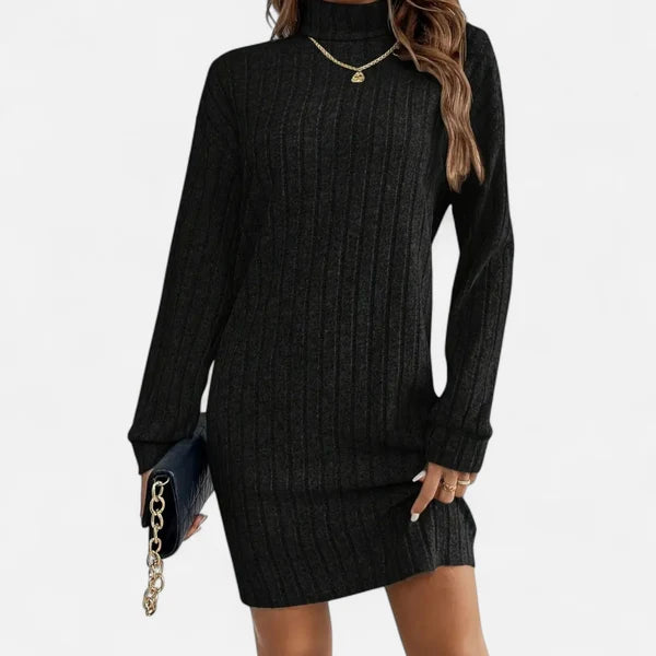 Women's Textured Turtleneck Sweater Dress with Long Sleeves