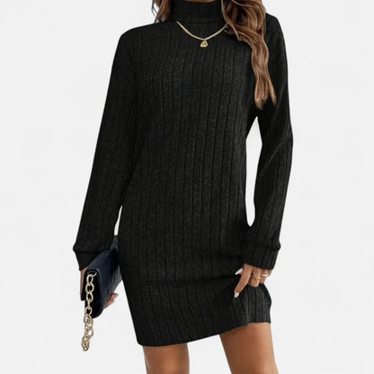 Women's Textured Turtleneck Sweater Dress with Long Sleeves