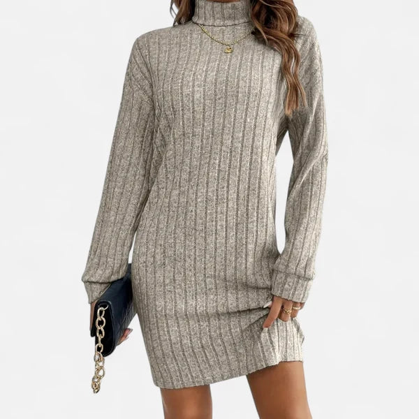 Women's Textured Turtleneck Sweater Dress with Long Sleeves