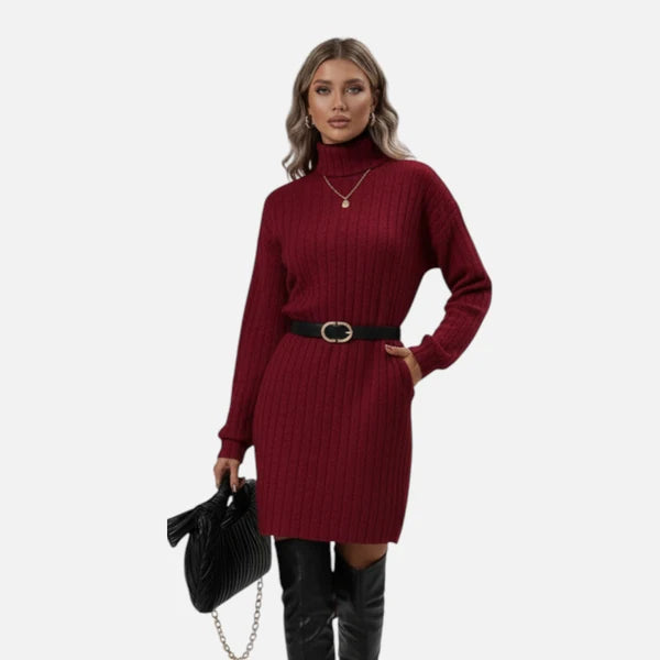 Women's Textured Turtleneck Sweater Dress with Long Sleeves