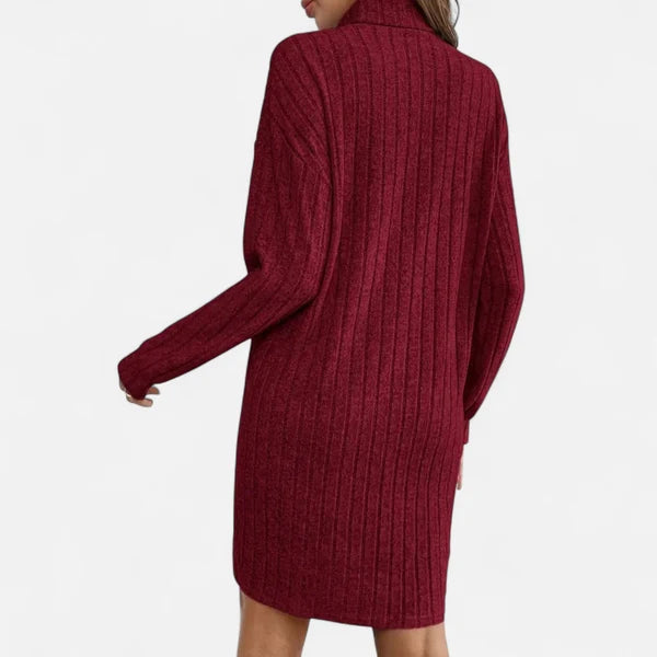Women's Textured Turtleneck Sweater Dress with Long Sleeves