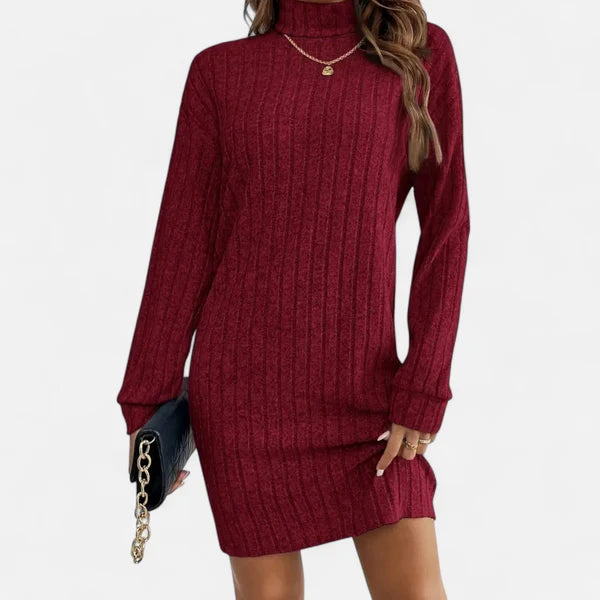 Women's Textured Turtleneck Sweater Dress with Long Sleeves